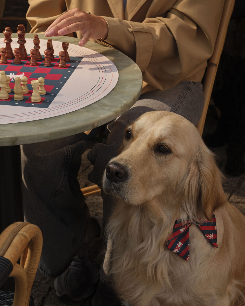 Golden retriever wearing a Marni Cucchi bow beside a caf&eacute; table