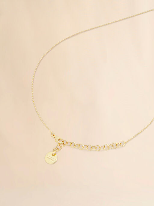 Chain necklace with horse charm - Necklaces