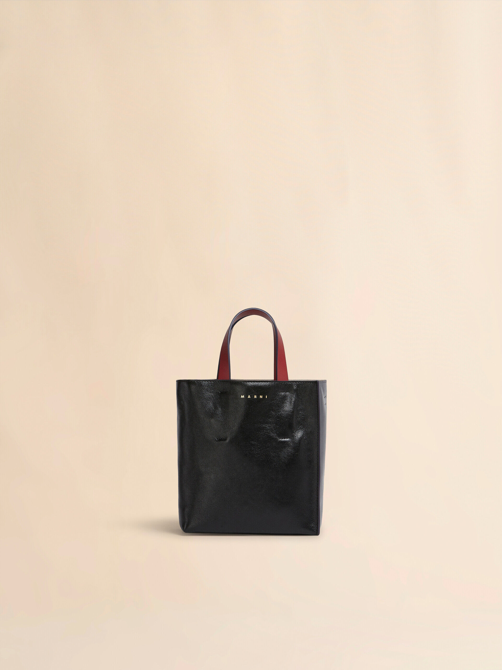 Museo Mini Bag in black leather | Marni