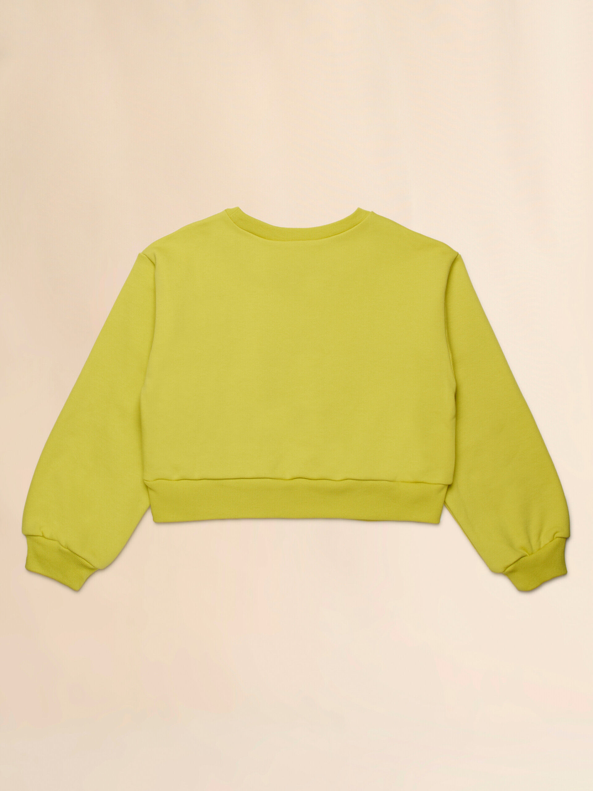 Yellow cotton cropped sweatshirt with embroidered logo | Marni