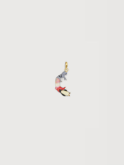 Charm Marni Alphabet "C" - Colliers