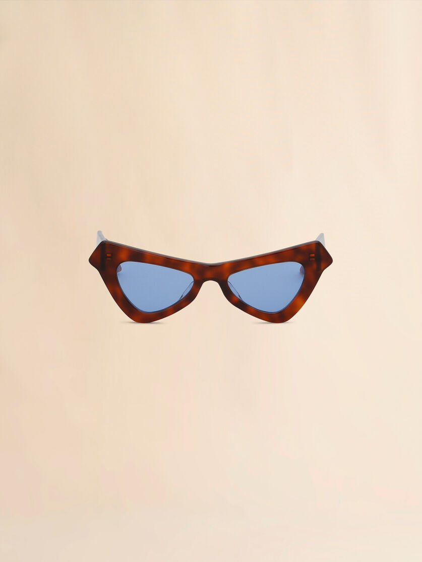 Tortoiseshell Fairy Pools Havana acetate sunglasses - Optical - Image 1