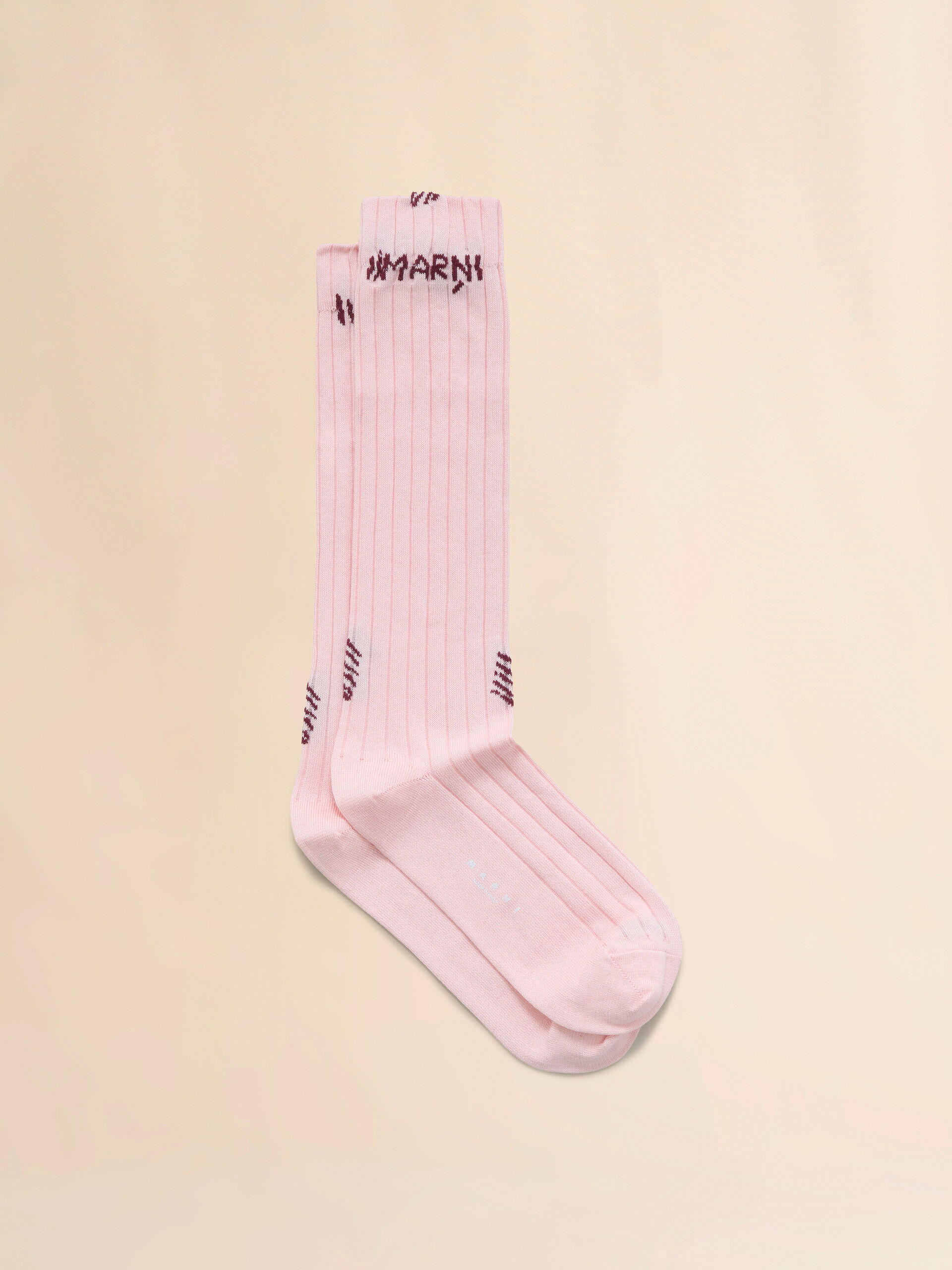 スパッツ・レギンス MARNI Women Socks SKMC0152MQUFU126STC06 Pink Women's Socks | Official Online Store | Marni