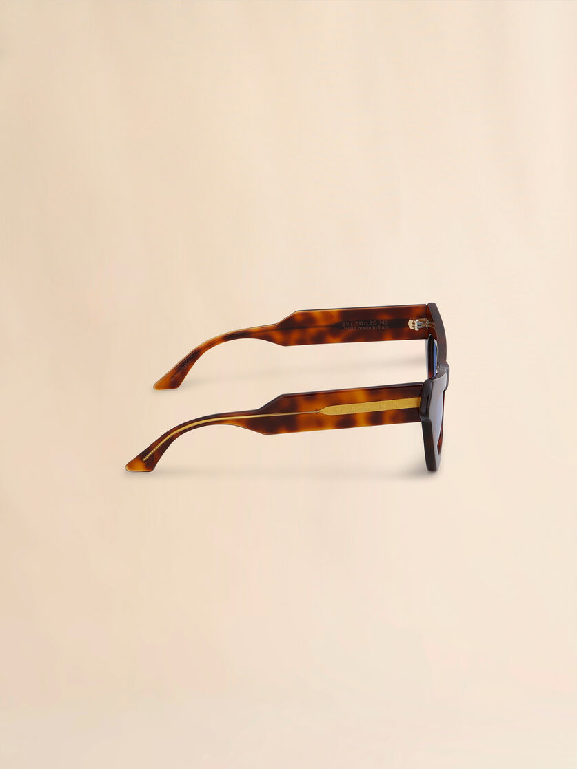 Tortoiseshell Fairy Pools Havana acetate sunglasses - Optical - Image 3
