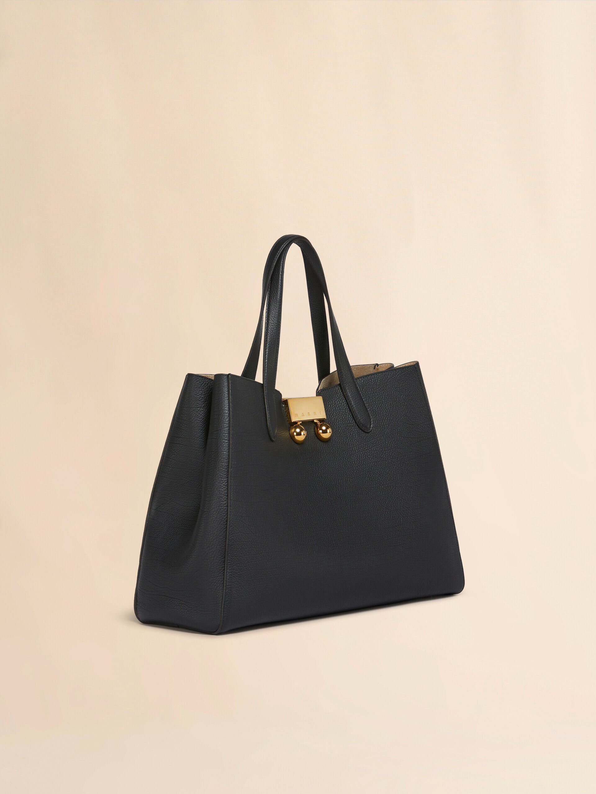 Black leather medium Trunkaroo Tote handBag | Marni