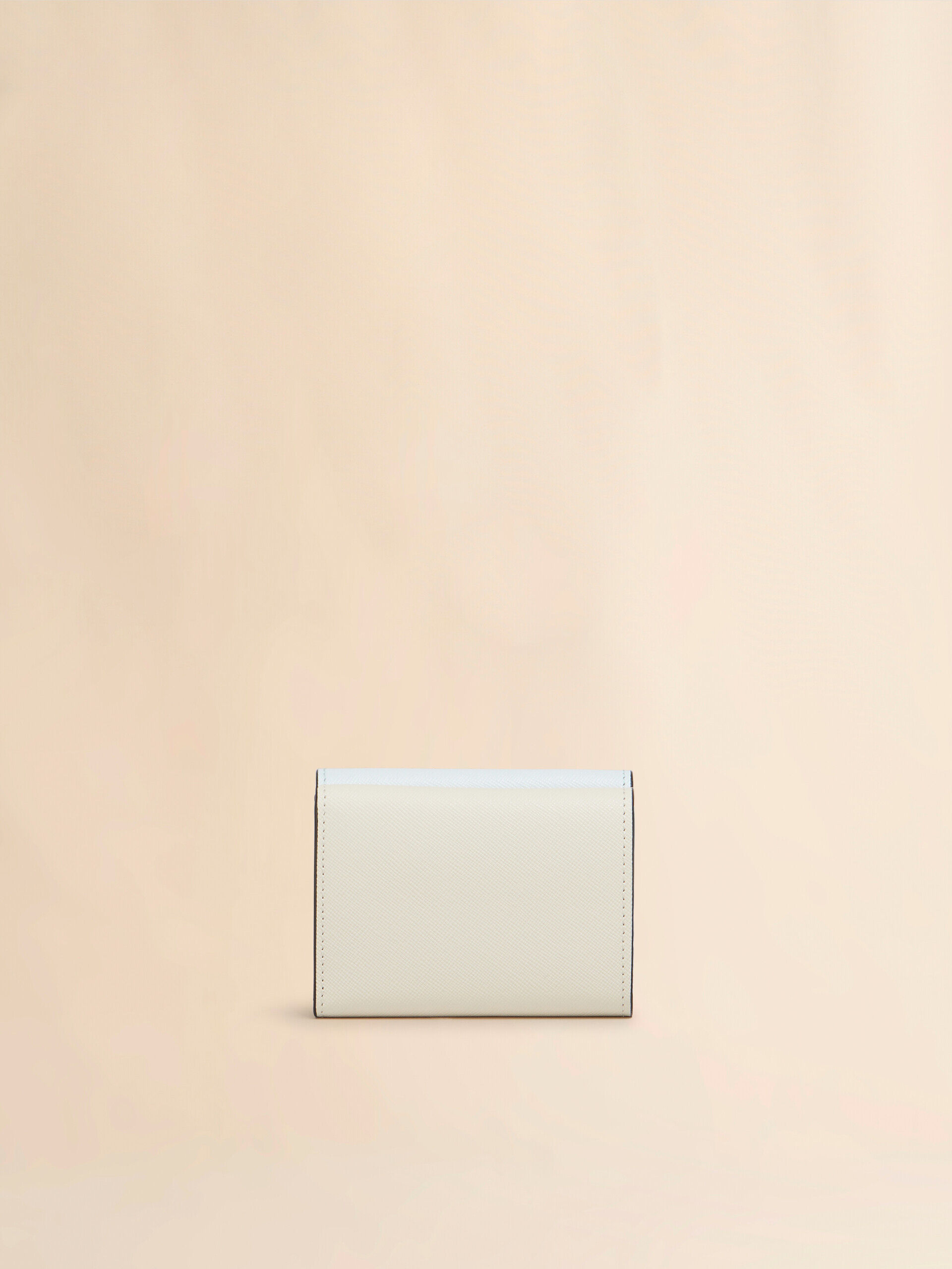 MARNI ライトグリーン、ホワイト、ブラウン サフィアーノレザー製ウォレット MARNI ライトグリーン、ホワイト、ブラウン サフィアーノレザー