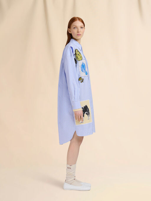 Light blue striped poplin shirt dress - Dresses