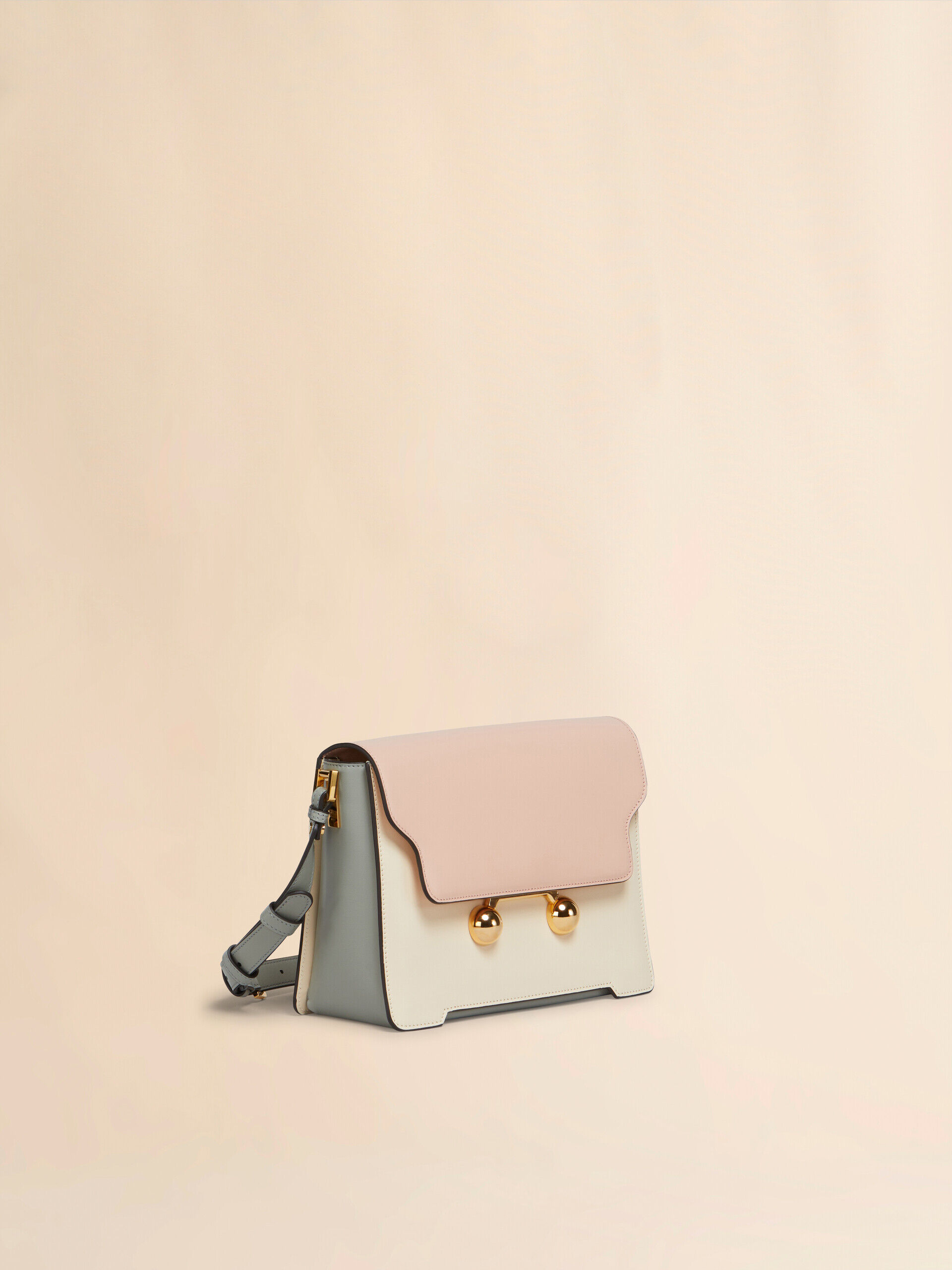 【関税＆送料込み】Marni Medium 'Trunkaroo' White Leather S Light blue, light brown e white leather Trunkaroo medium