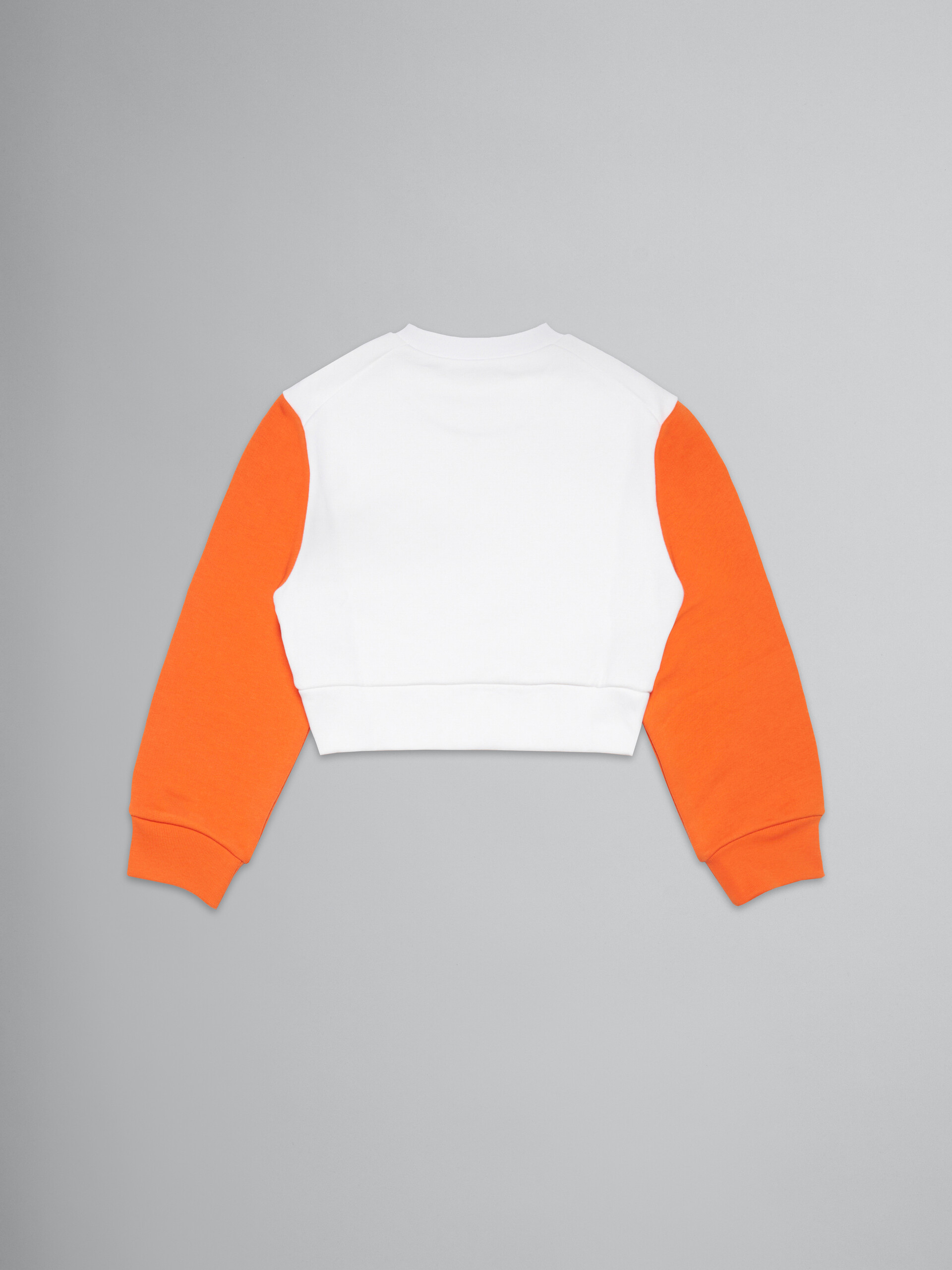 Colorblock crew-neck sweatshirt with Sunny Day print - Sweaters - Image 2