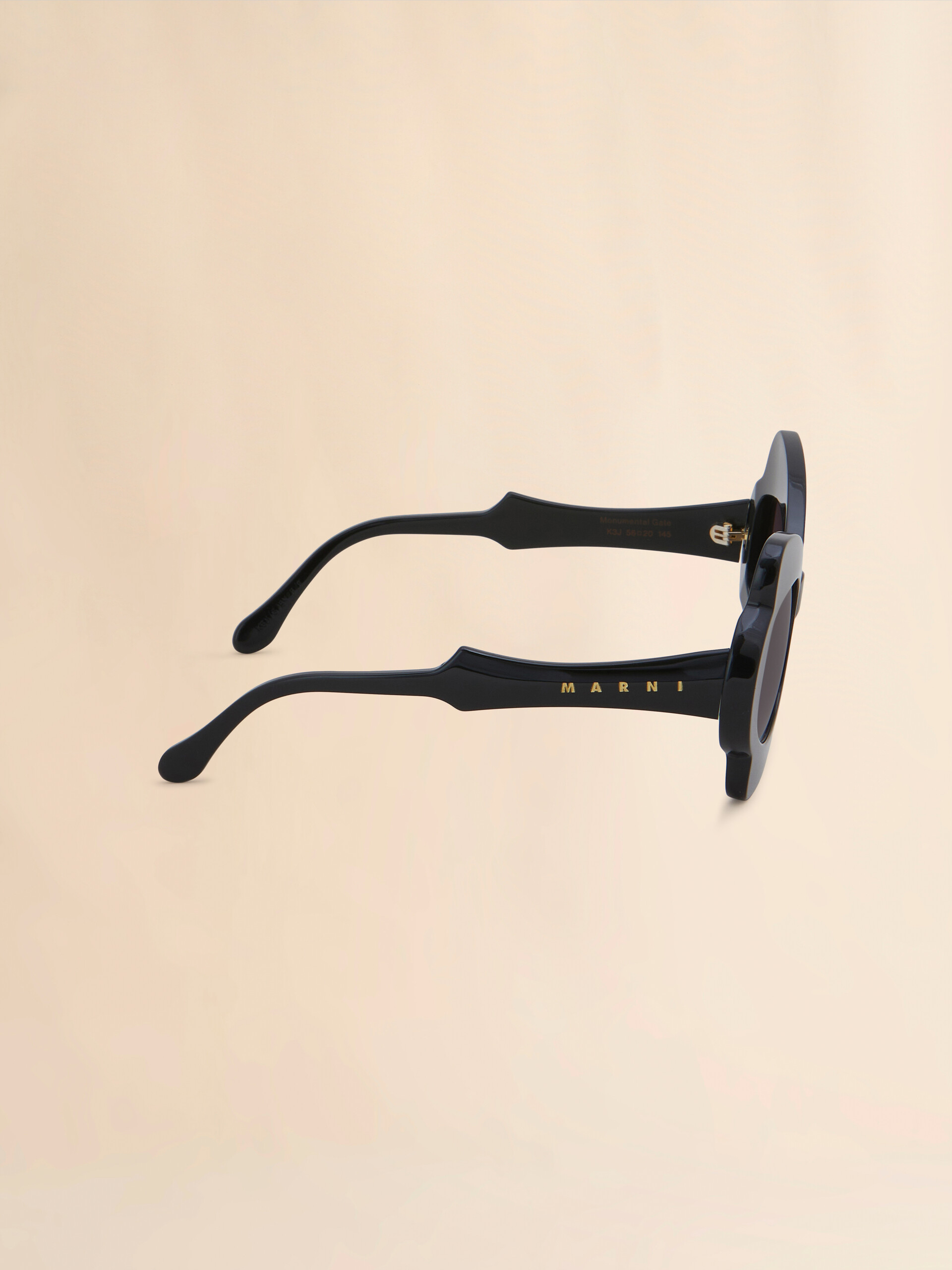 Black Monumental Gate Sunglasses - Optical - Image 4