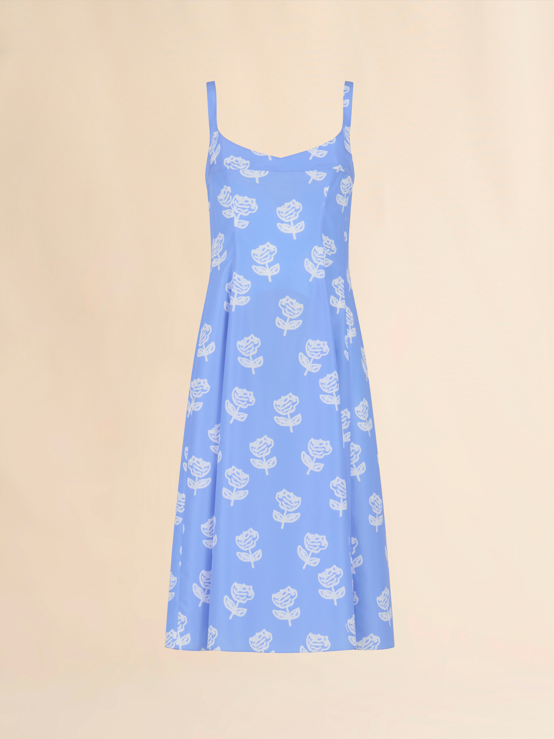 Light blue poplin flared dress with Sprayed Roses print - Dresses - Image 1