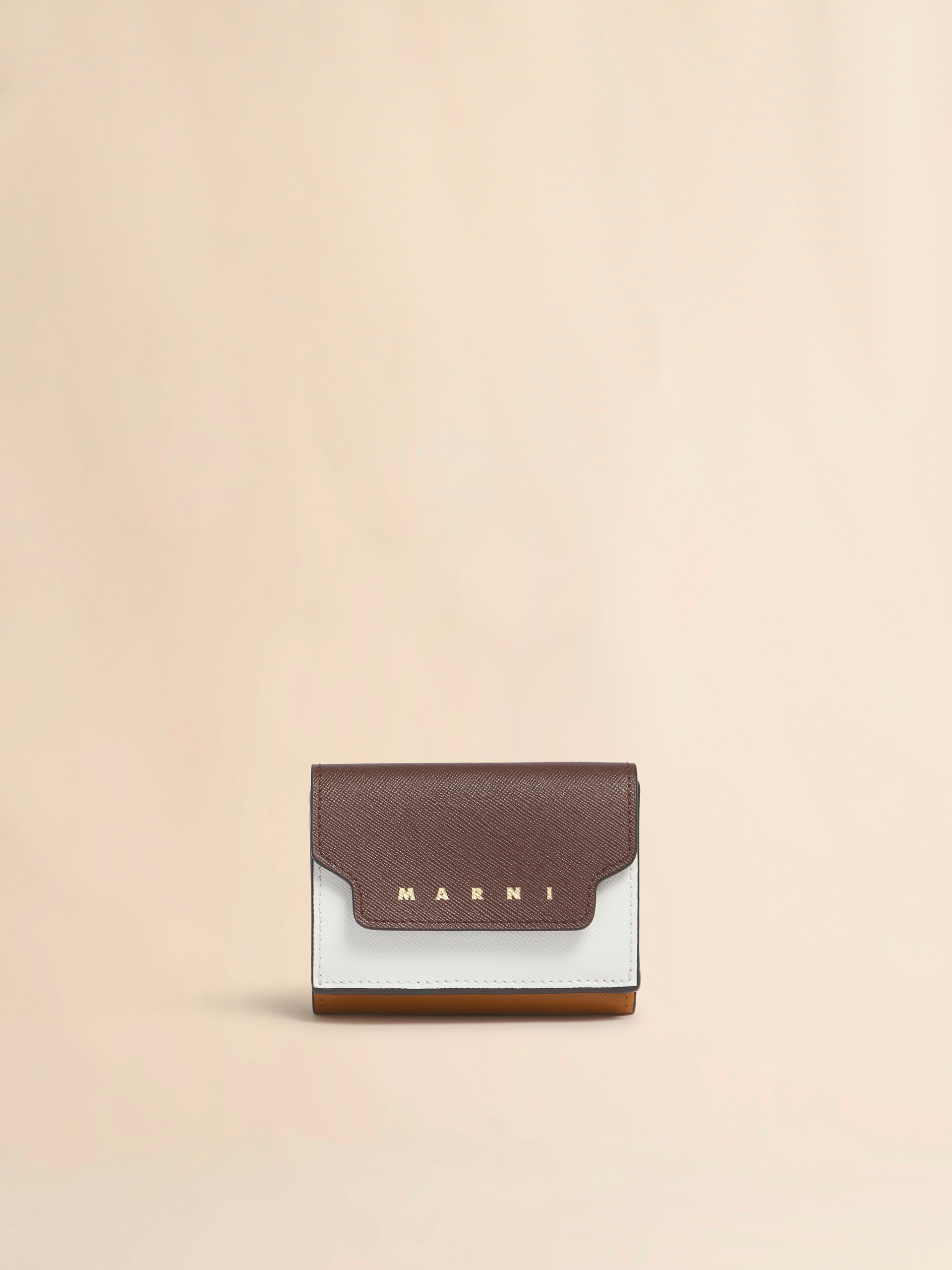 チョコレート / リリホワイト / ディジョン