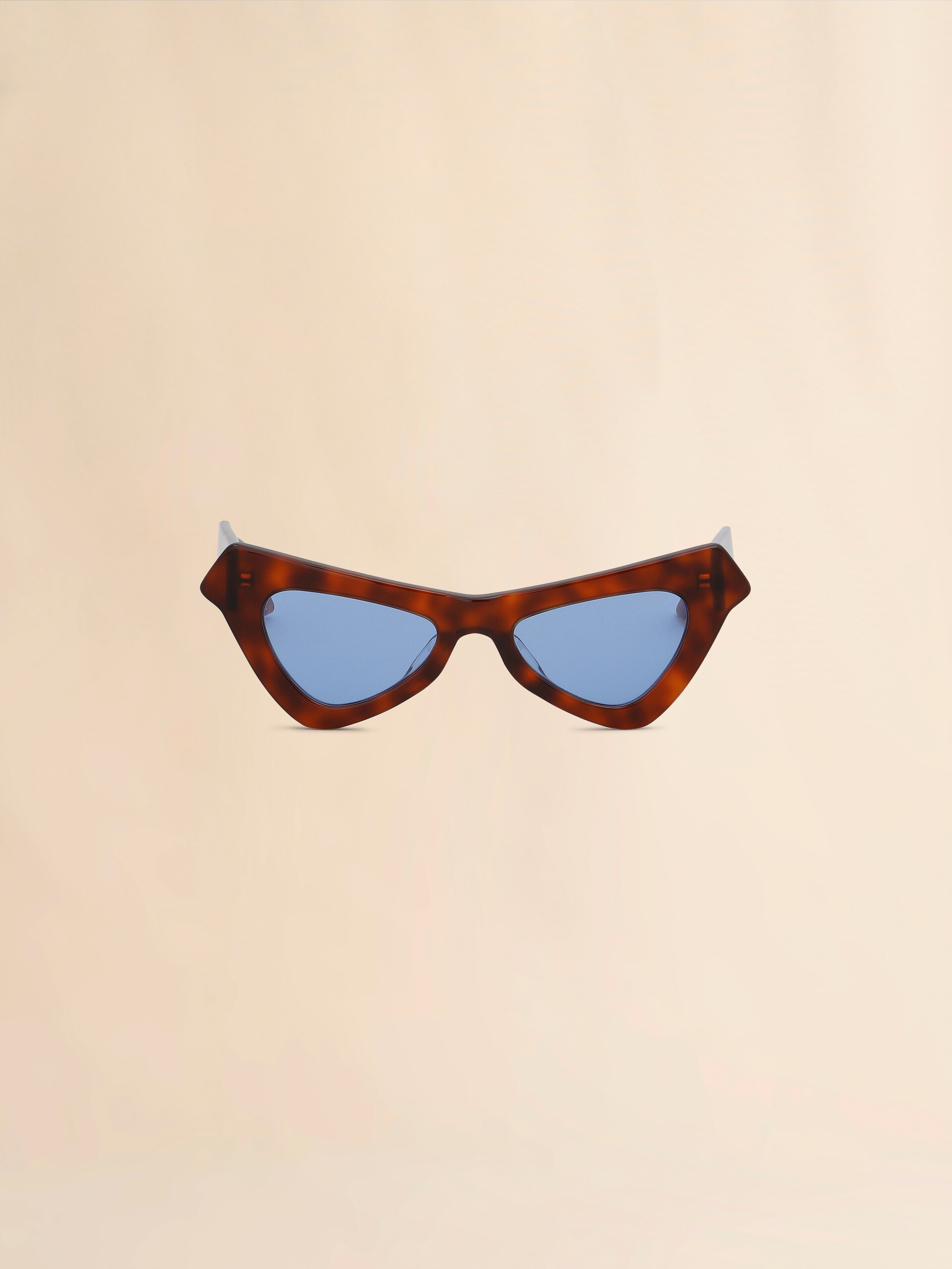 Tortoiseshell Fairy Pools Havana acetate sunglasses - Optical - Image 1