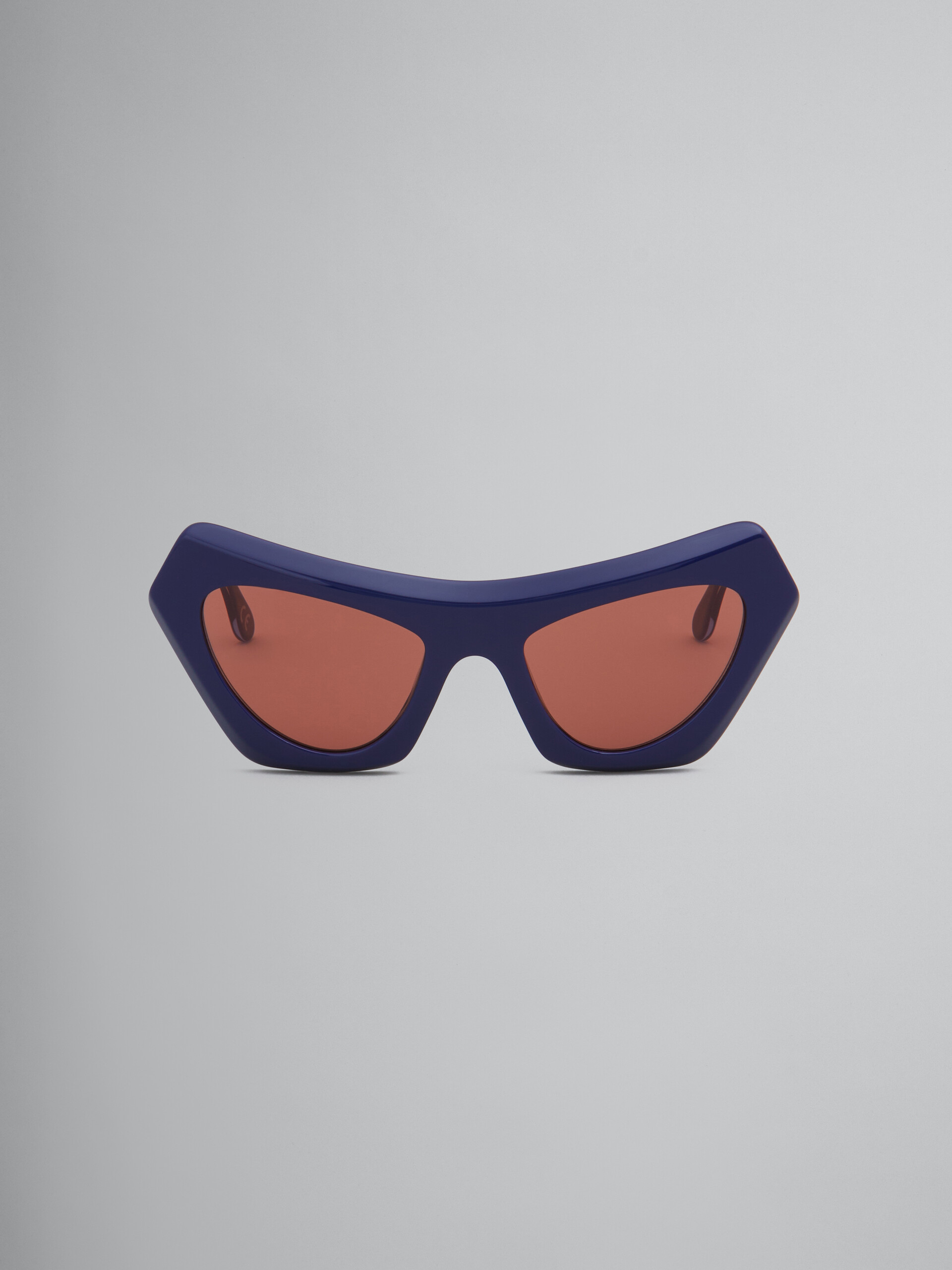 Devil's Pool blue sunglasses - Optical - Image 1