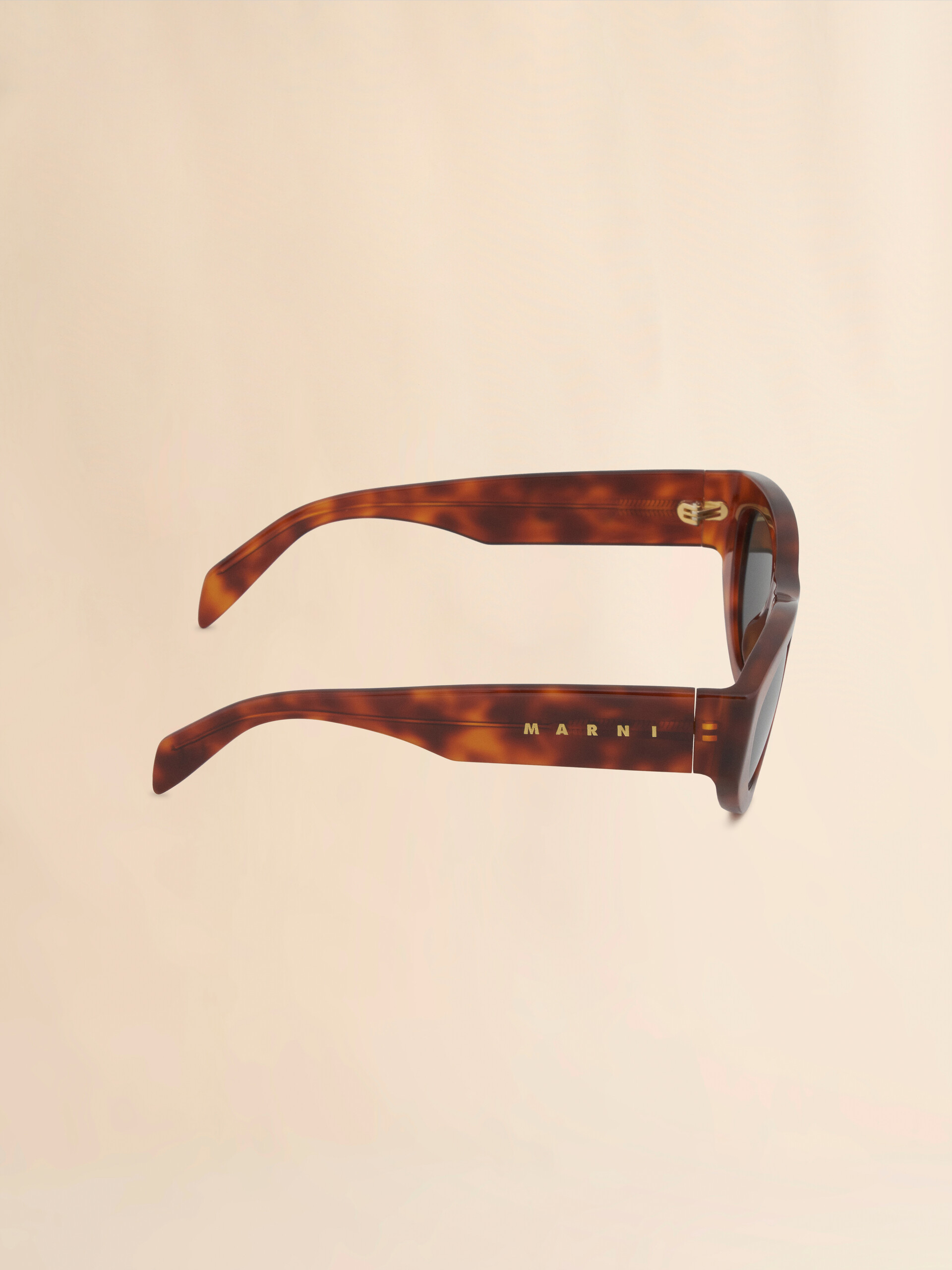 Tortoiseshell acetate RAINBOW MOUNTAINS sunglasses | Marni 
