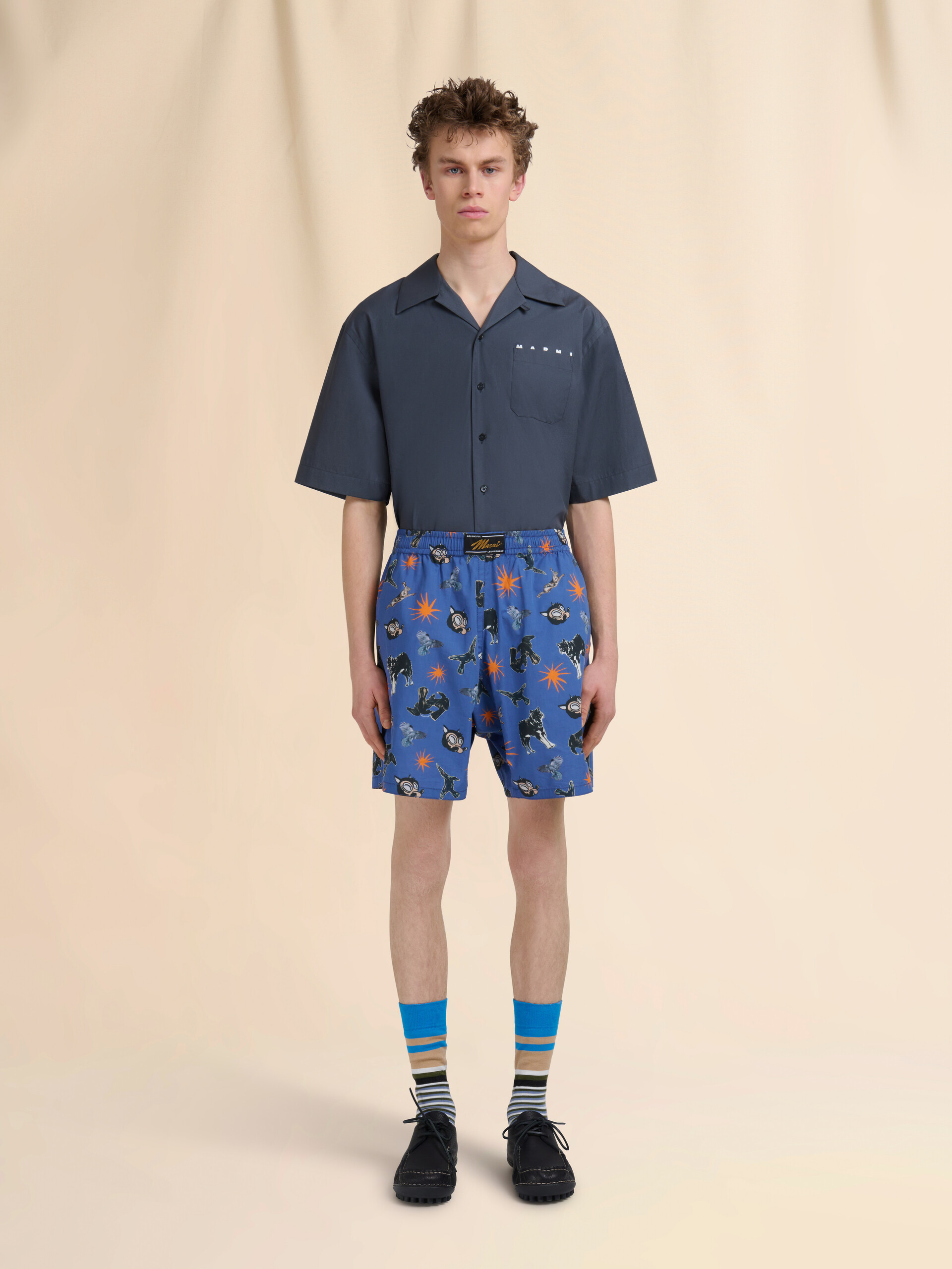 Blue poplin Bermuda shorts with Wolves, Ravens and Doves print - Swimwear - Image 2