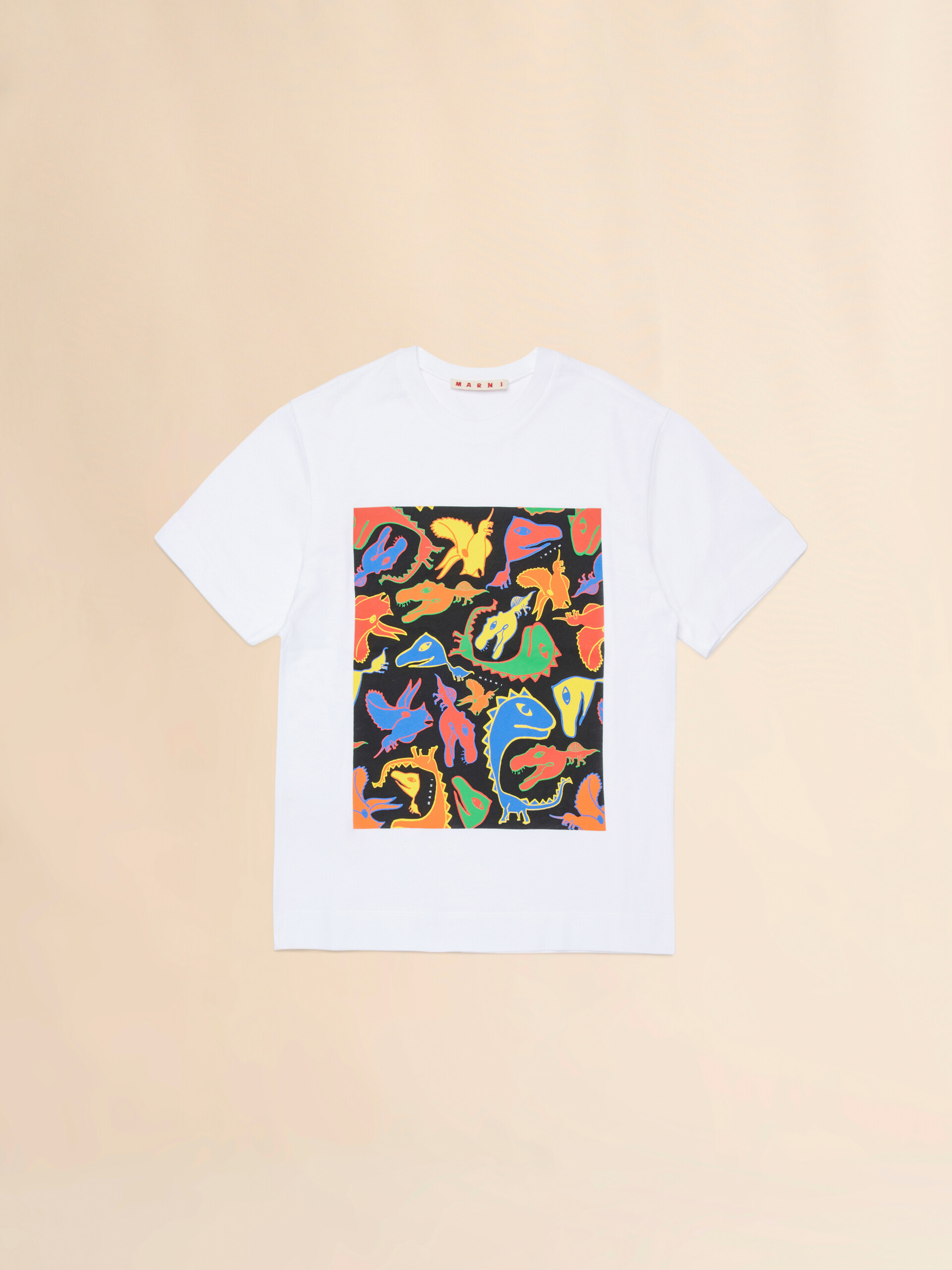 T-shirt in cotone bianco con stampa Dinosauri multicolor - T-shirt - Image 1