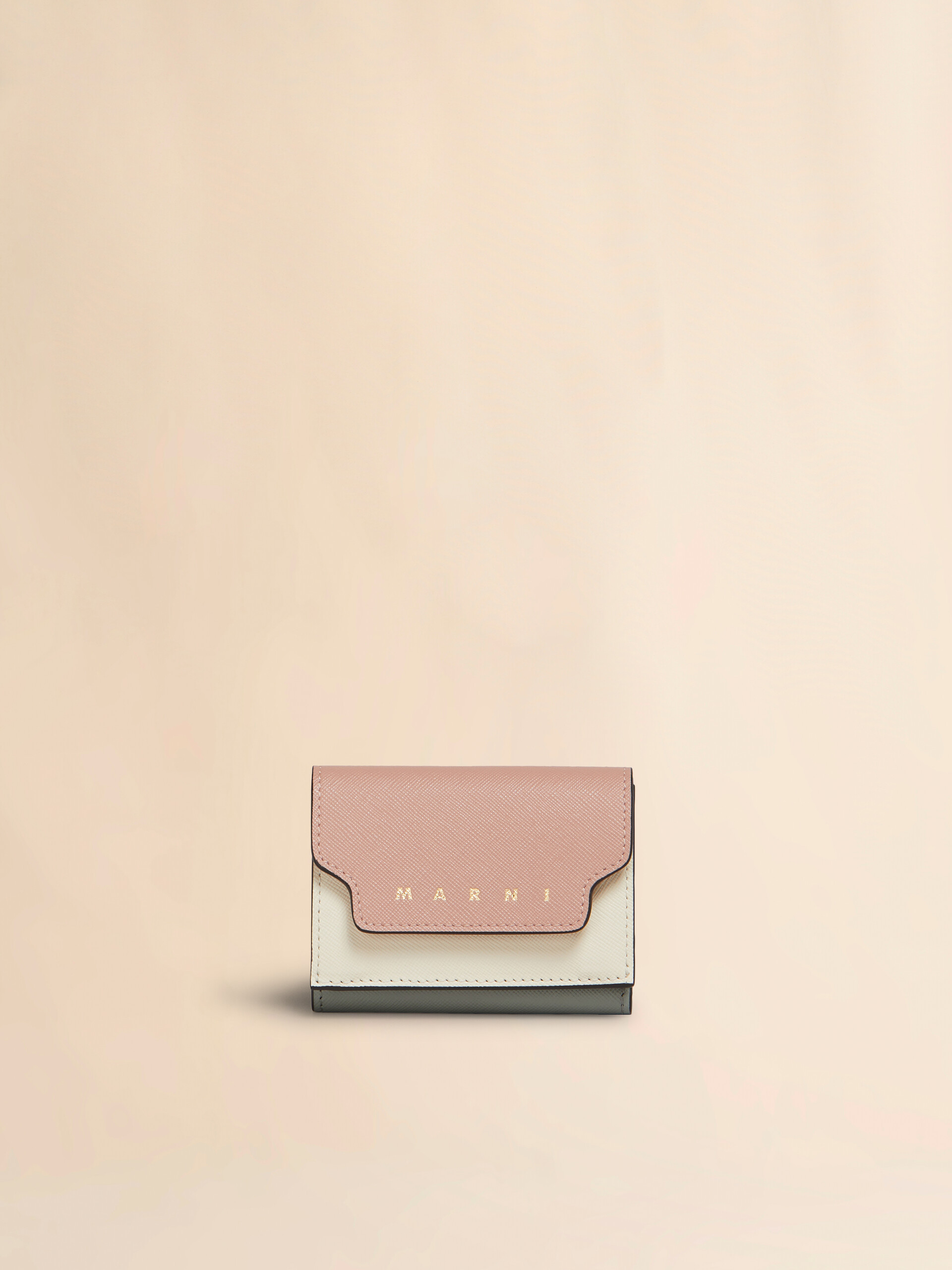 동백/조개/폭풍