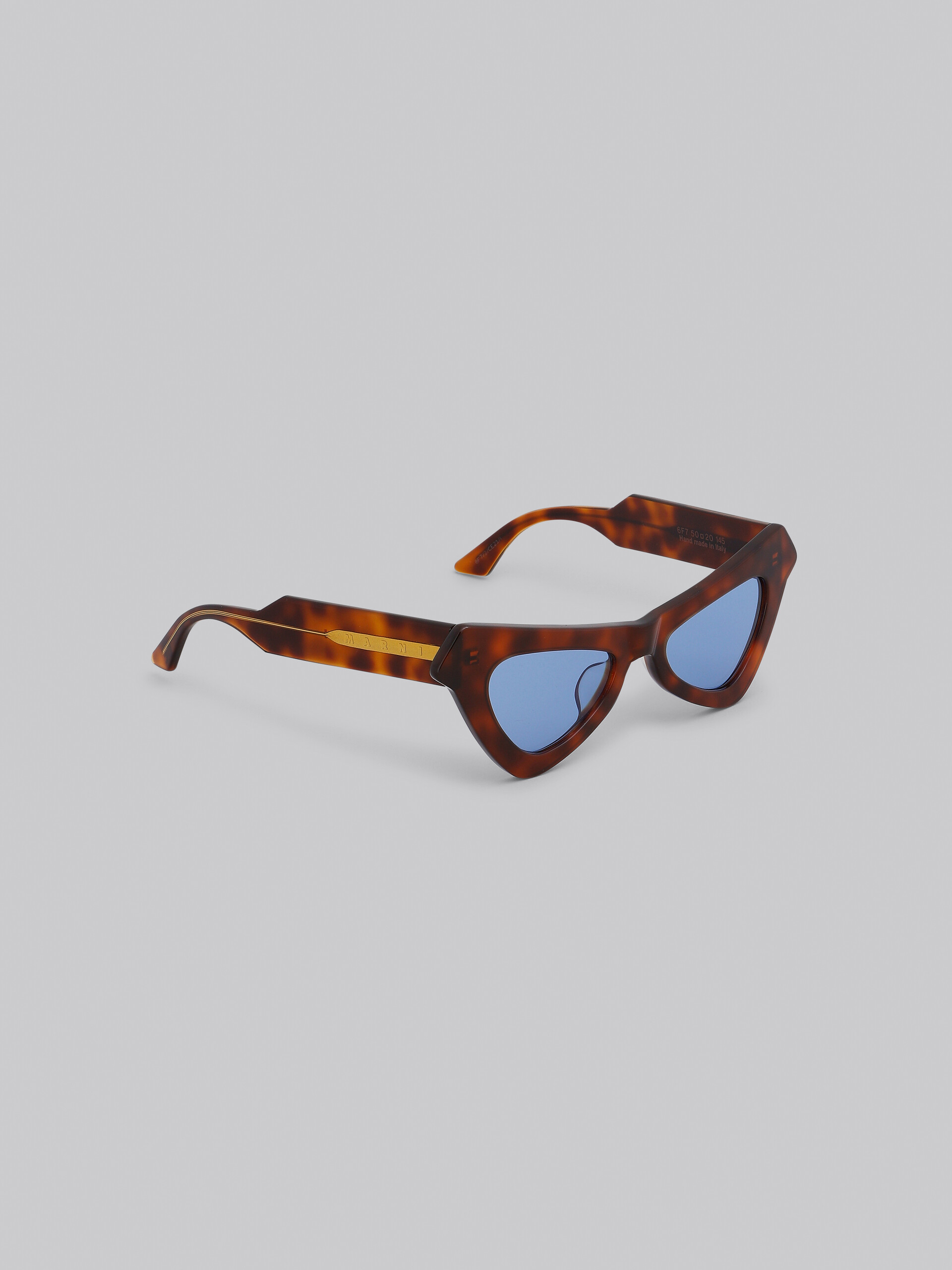 Tortoiseshell Fairy Pools Havana acetate sunglasses - Optical - Image 3