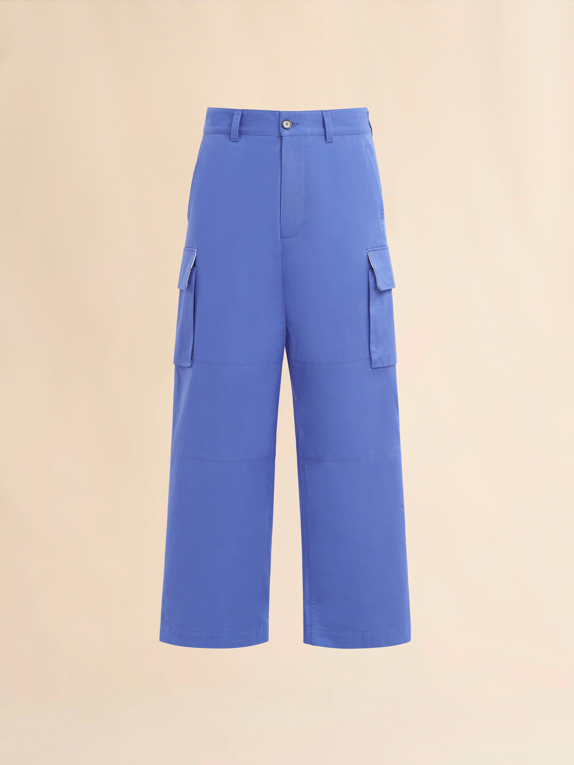 Pantaloni cargo in cotone biologico indaco - Pantaloni - Image 1