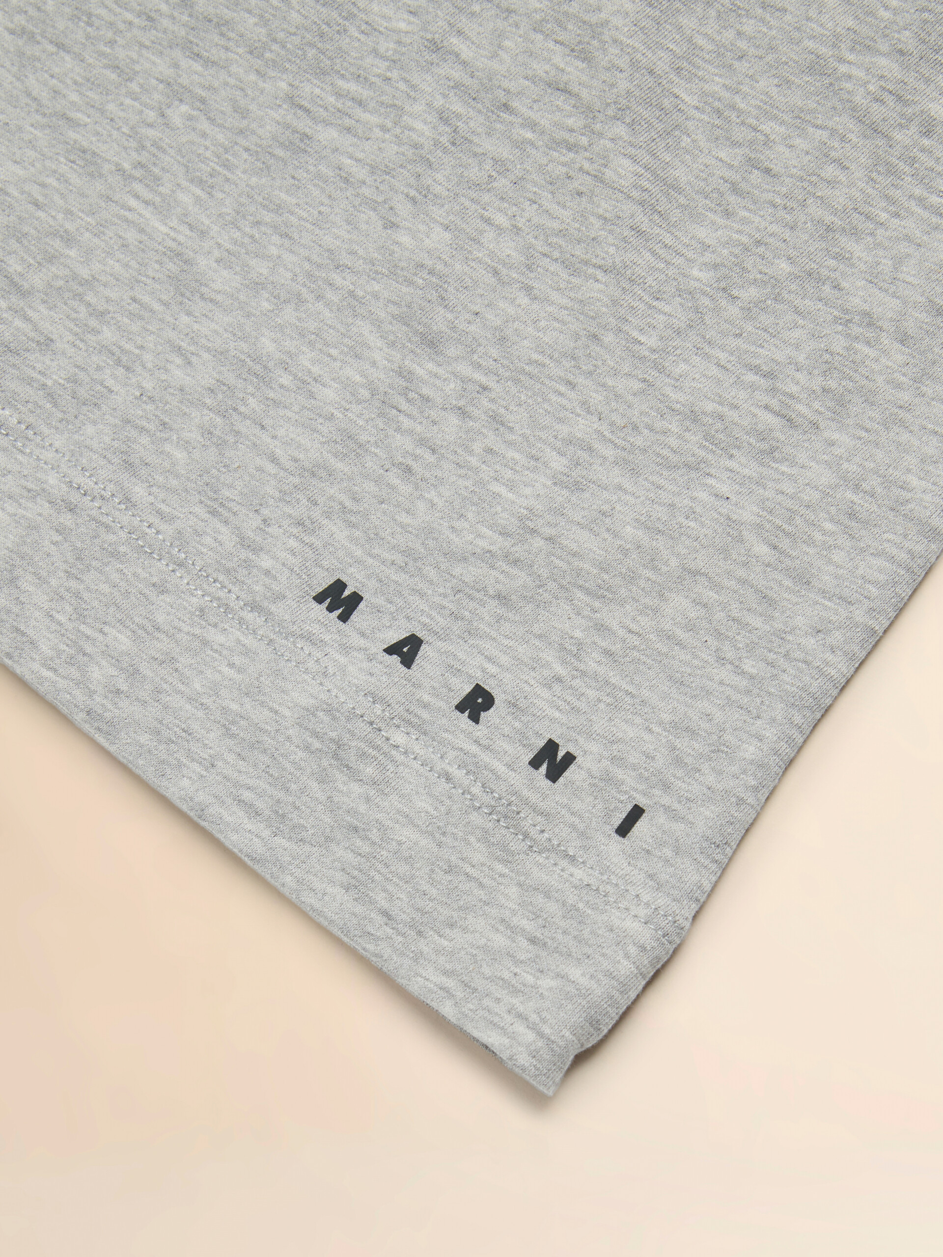 Gray cotton T-shirt with T-rex print - T-shirts - Image 4