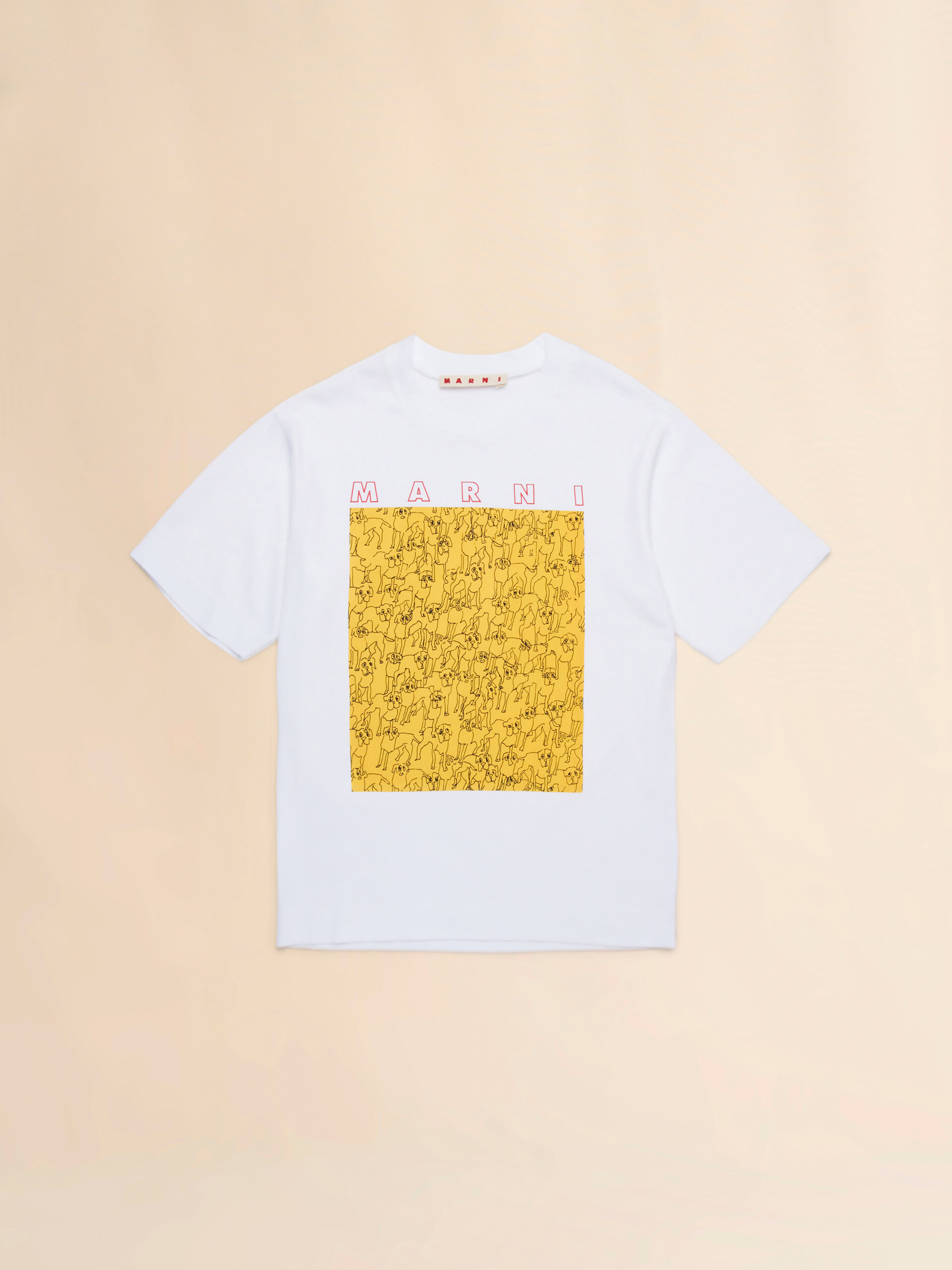 WHITE CONTRAST PRINT COLOR