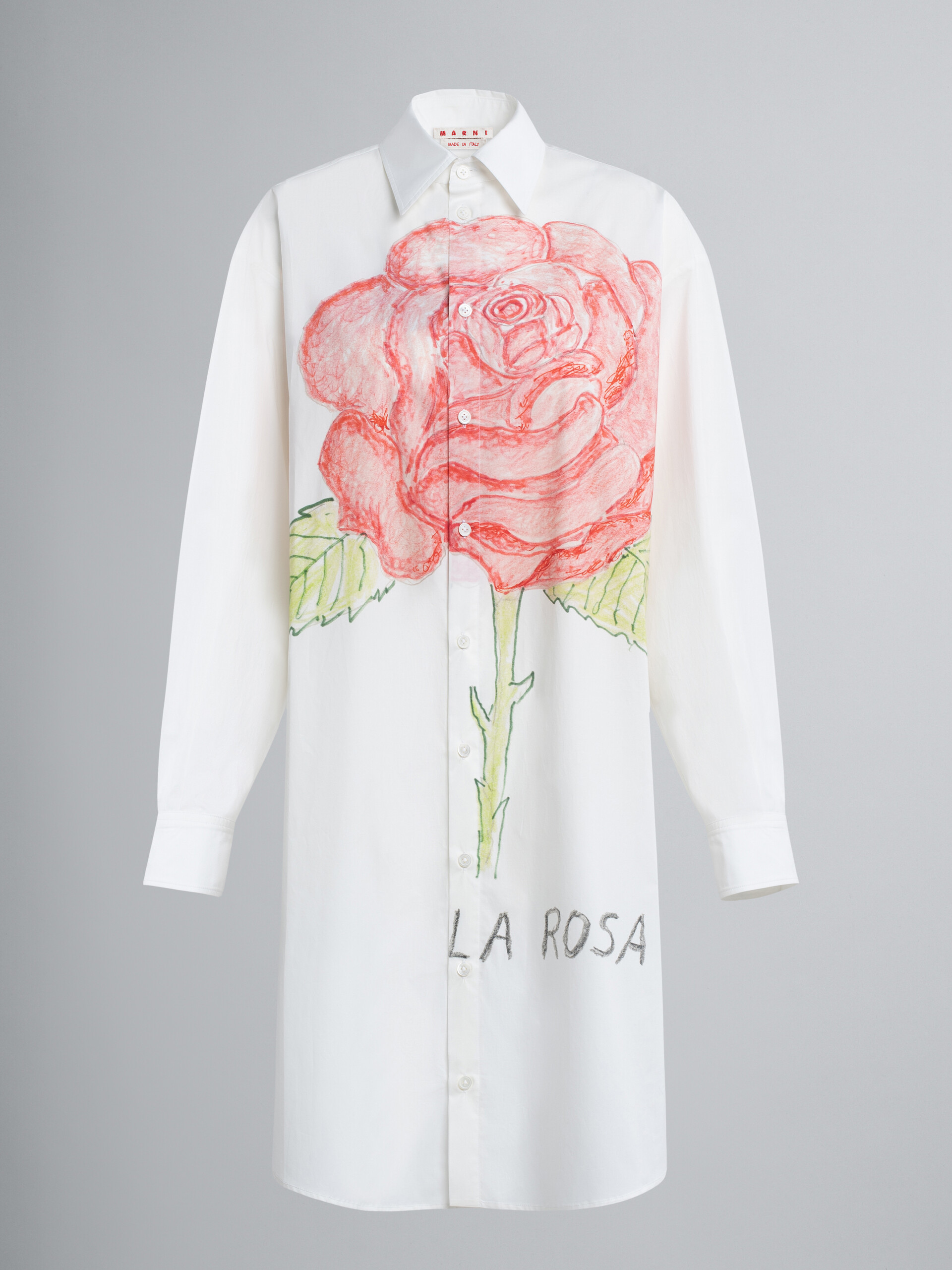 La Rosa print poplin dress - Dresses - Image 1