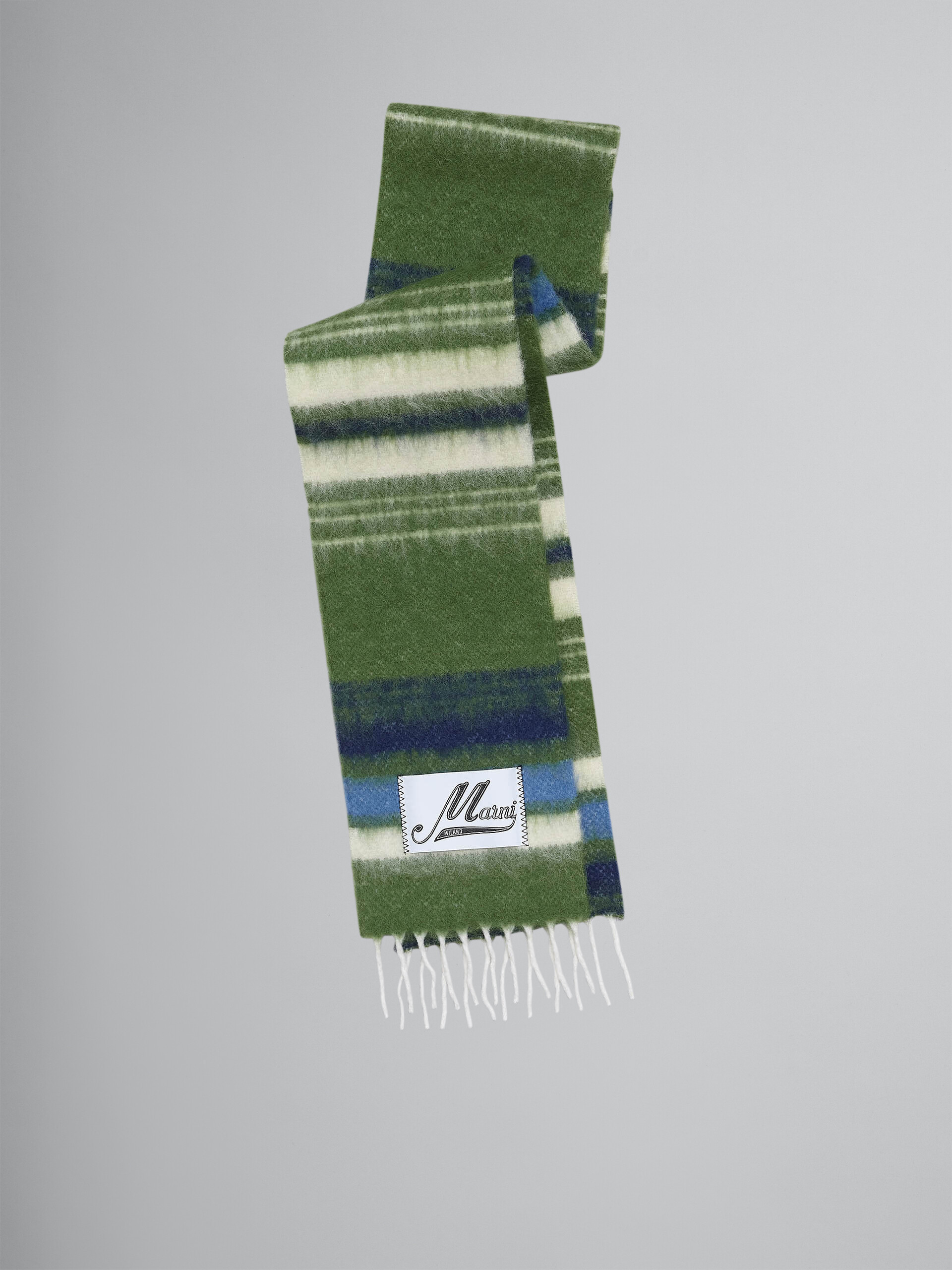 Striped scarf - Scarves - Image 1