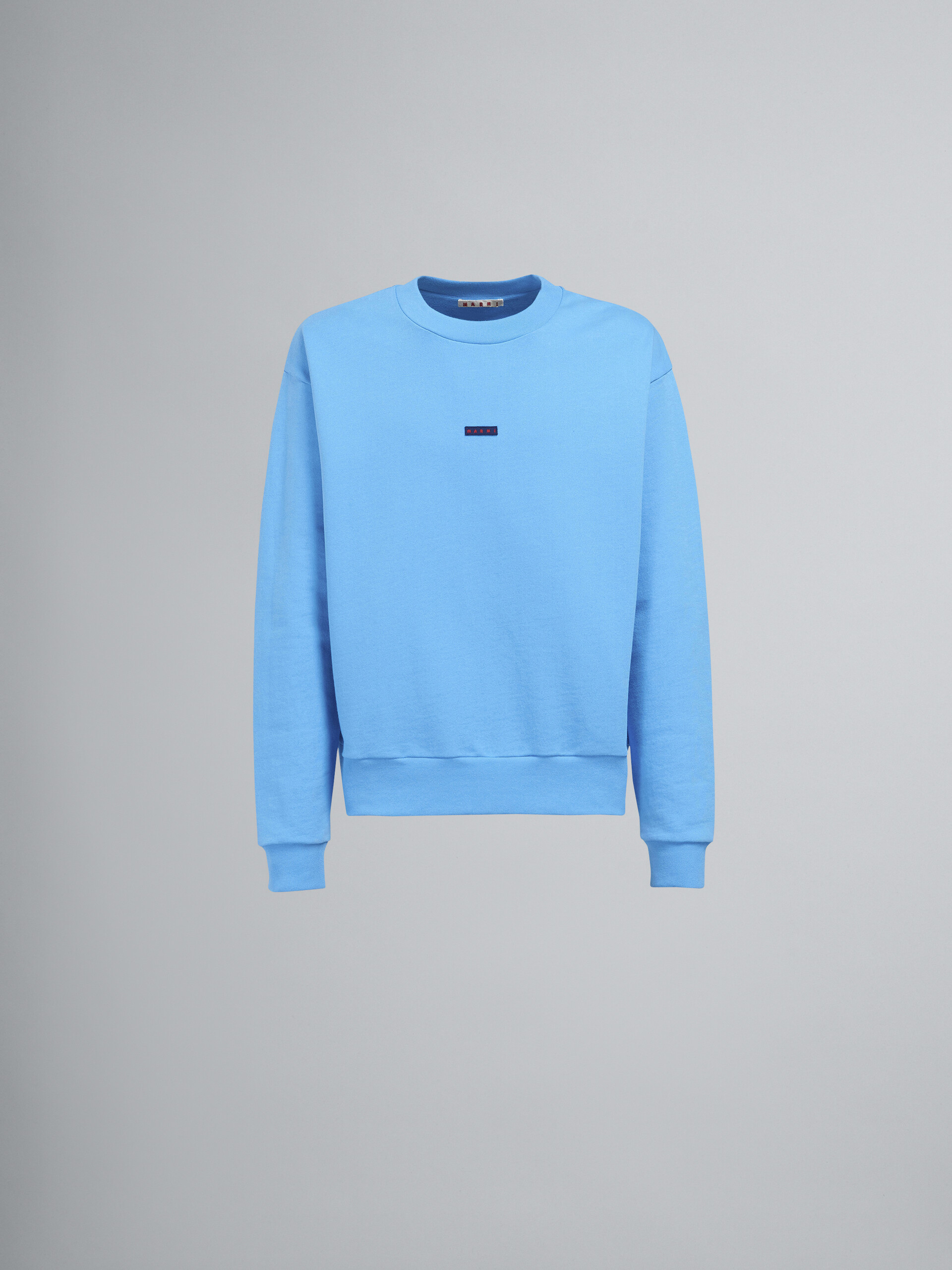 Blue bio cotton sweatshirt - Sweaters - Image 1