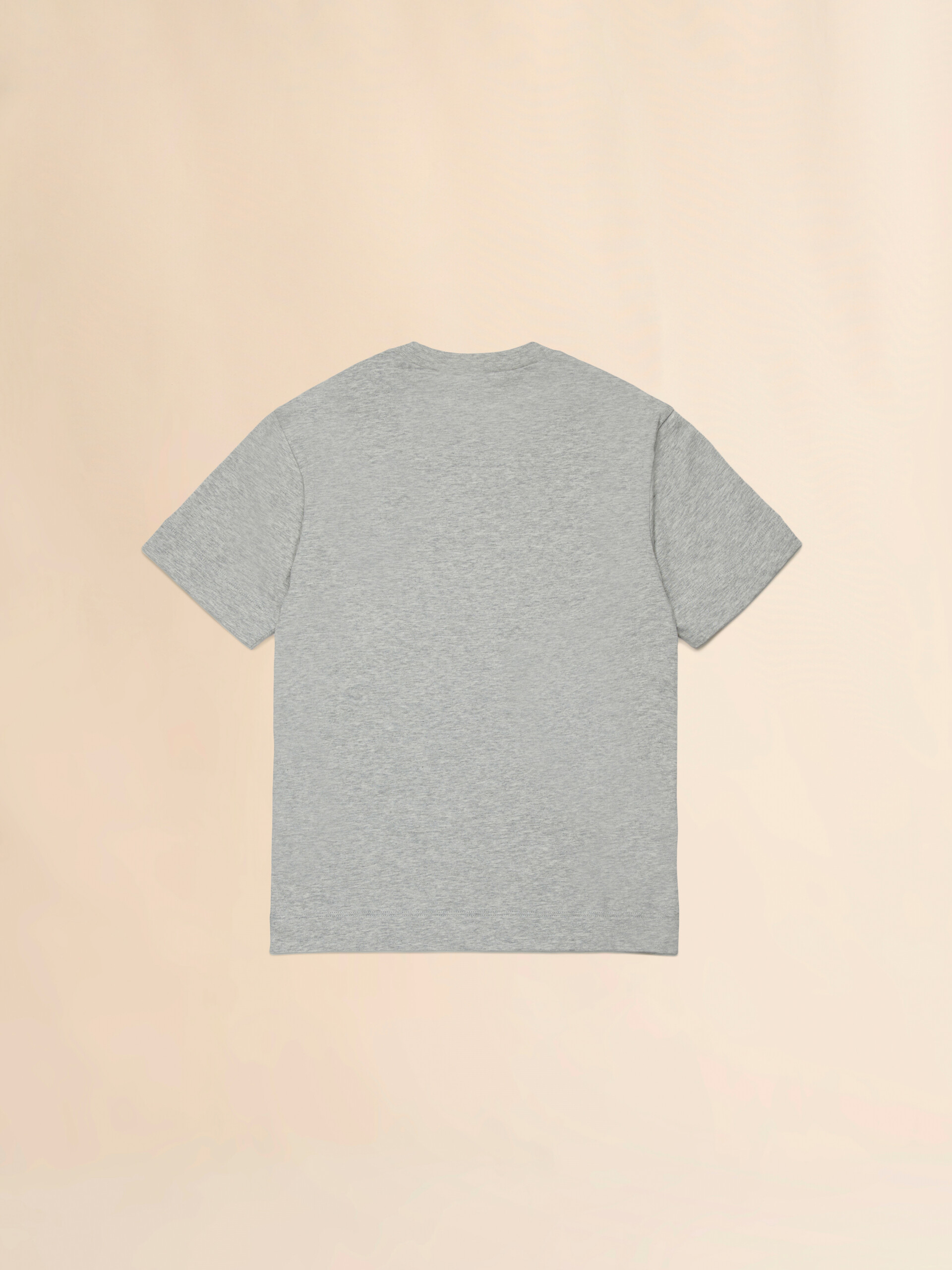 Gray cotton T-shirt with T-rex print - T-shirts - Image 2