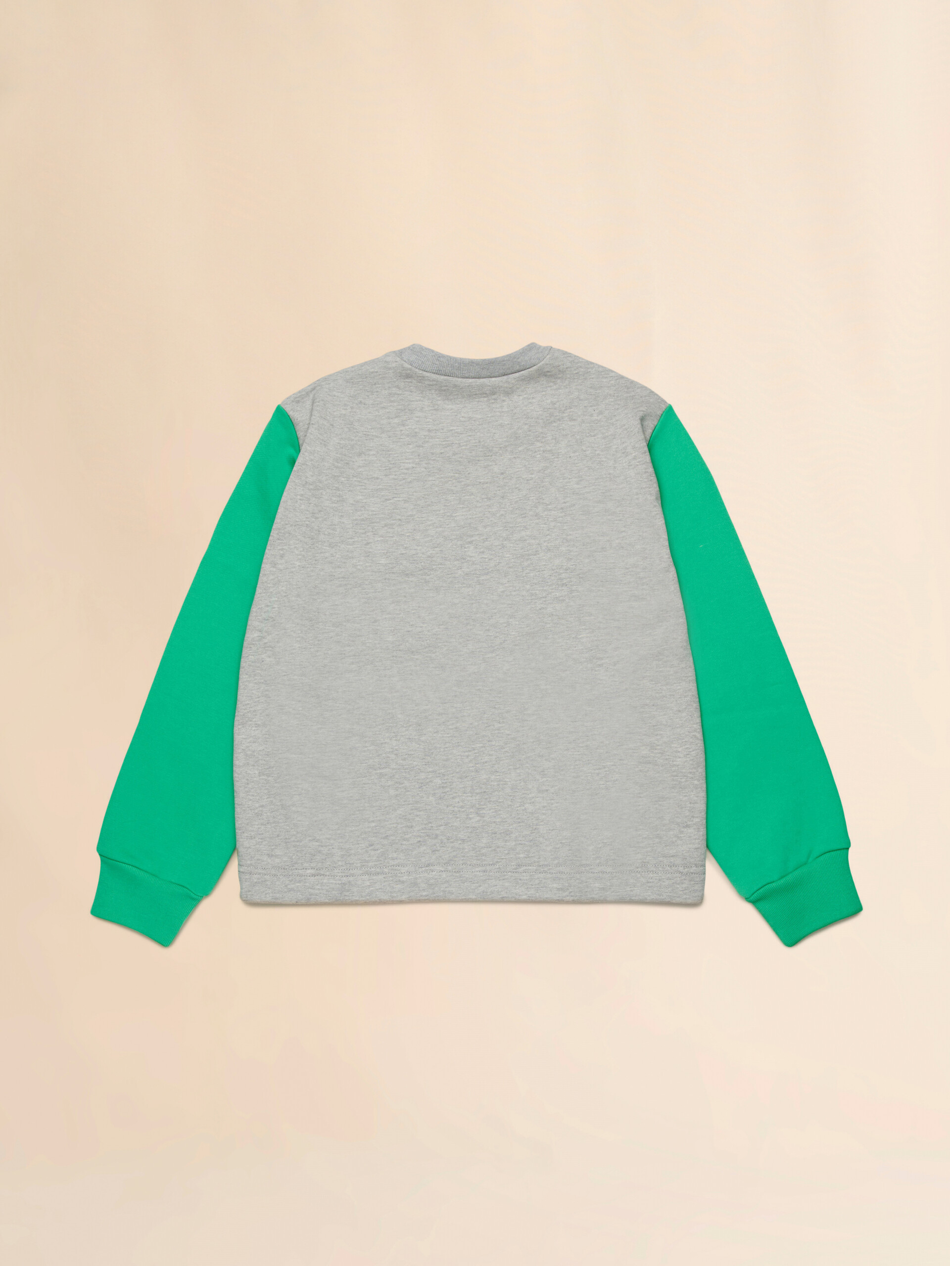 Crewneck sweatshirt with colorblock details - Sweaters - Image 2