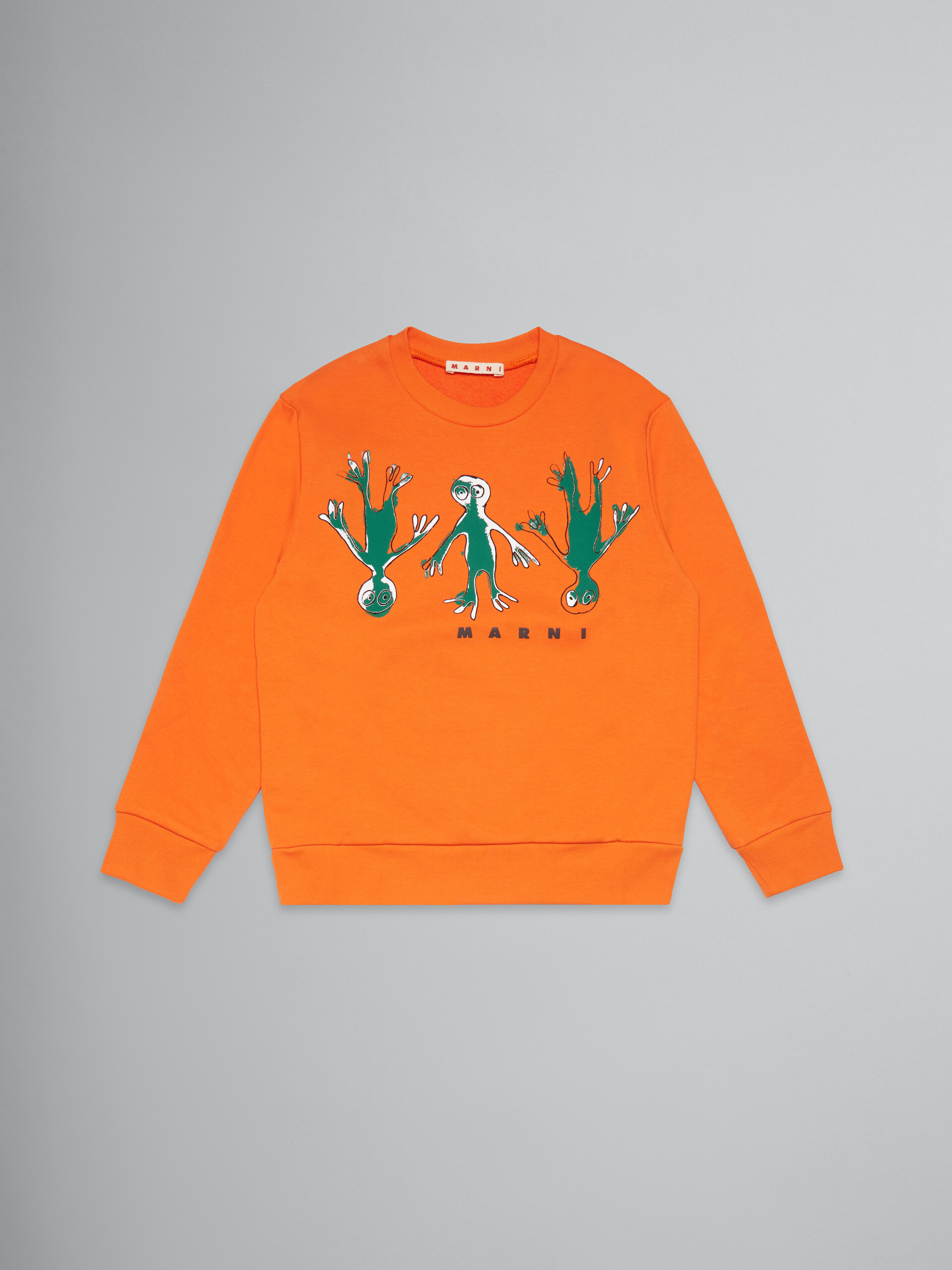 Orangefarbenes Sweatshirt mit Rundhalsausschnitt und Frosch-Print - Strickwaren - Image 1